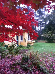 Image of Eleanor's studio, Varuna