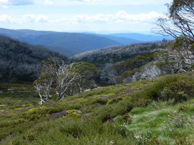View over Alpine National Park