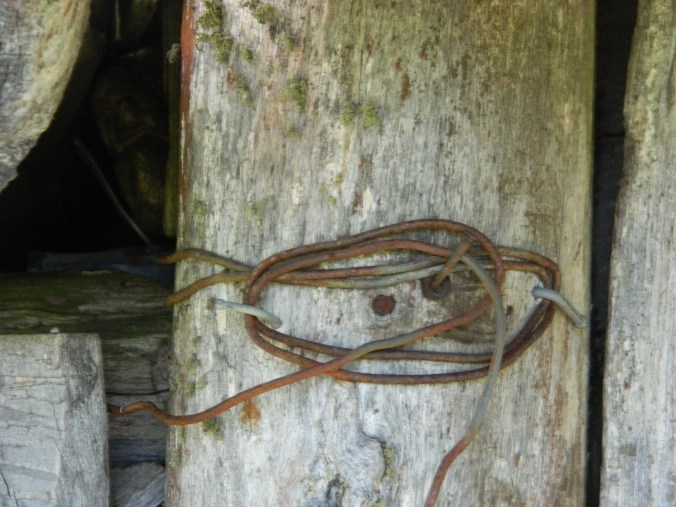 Wire Fastening, Wallace Hut, Falls Creek