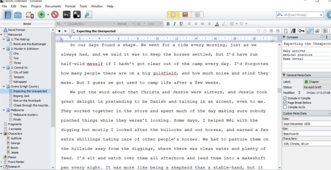 Scrivener editing screen