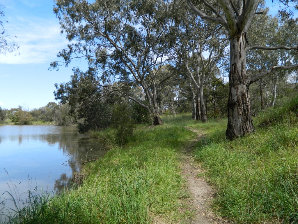 path beside lake