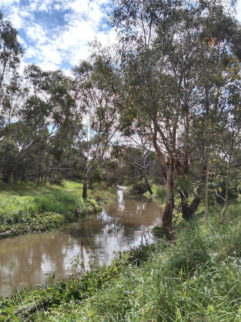 Darebin Creek