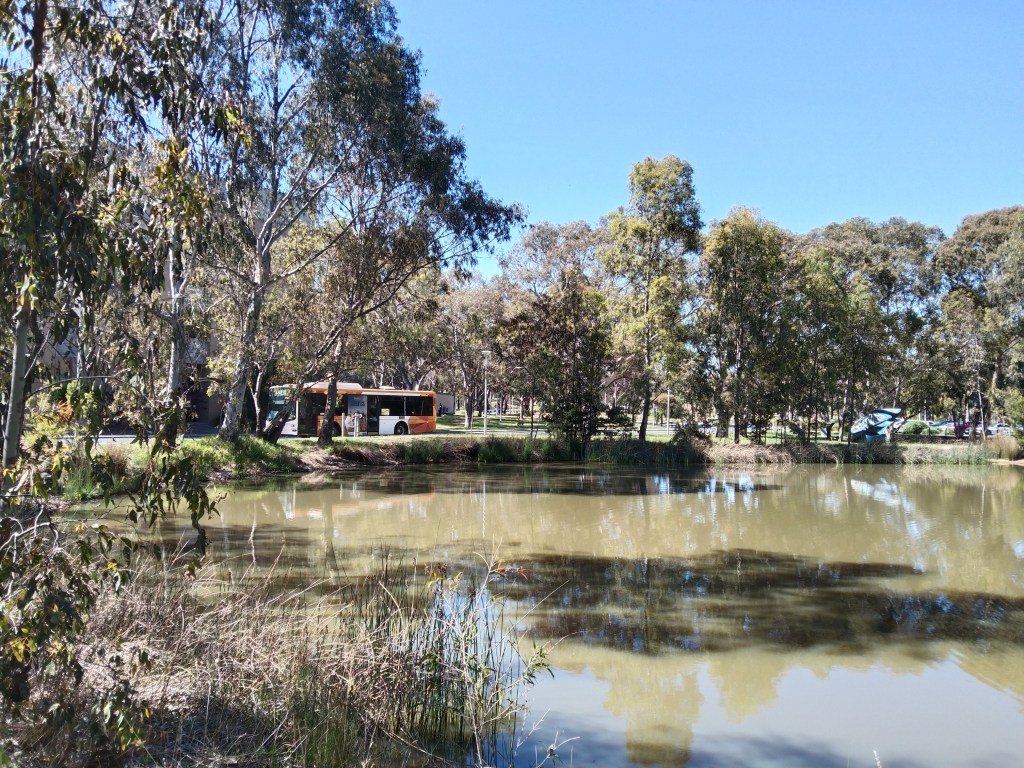 Waterhole ringed by trees with bus passing