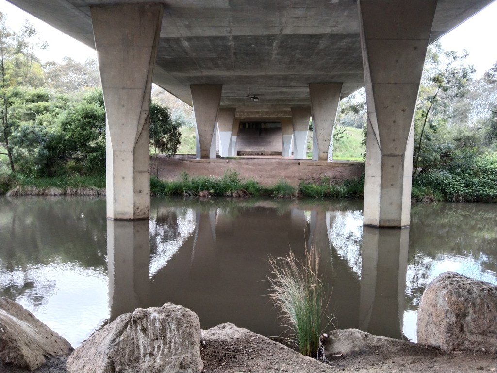 The underneath and pillars holding up the Kingsbury Drive bridge